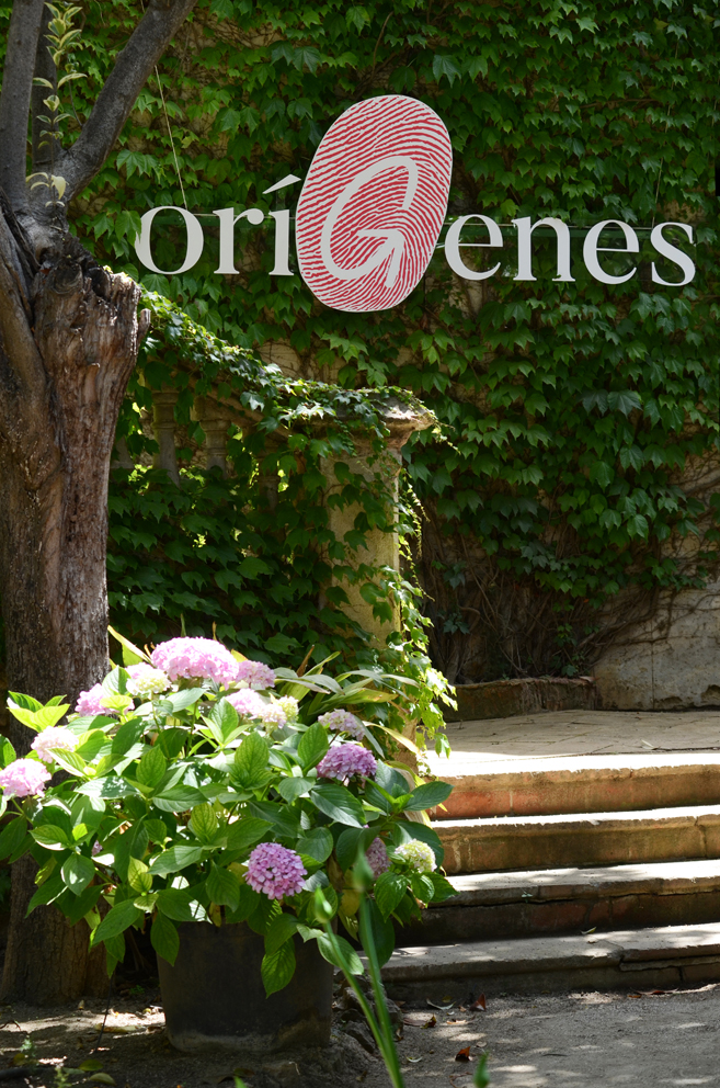 OríGenes logo on wall covered in ivy with pot of flowers in foreground